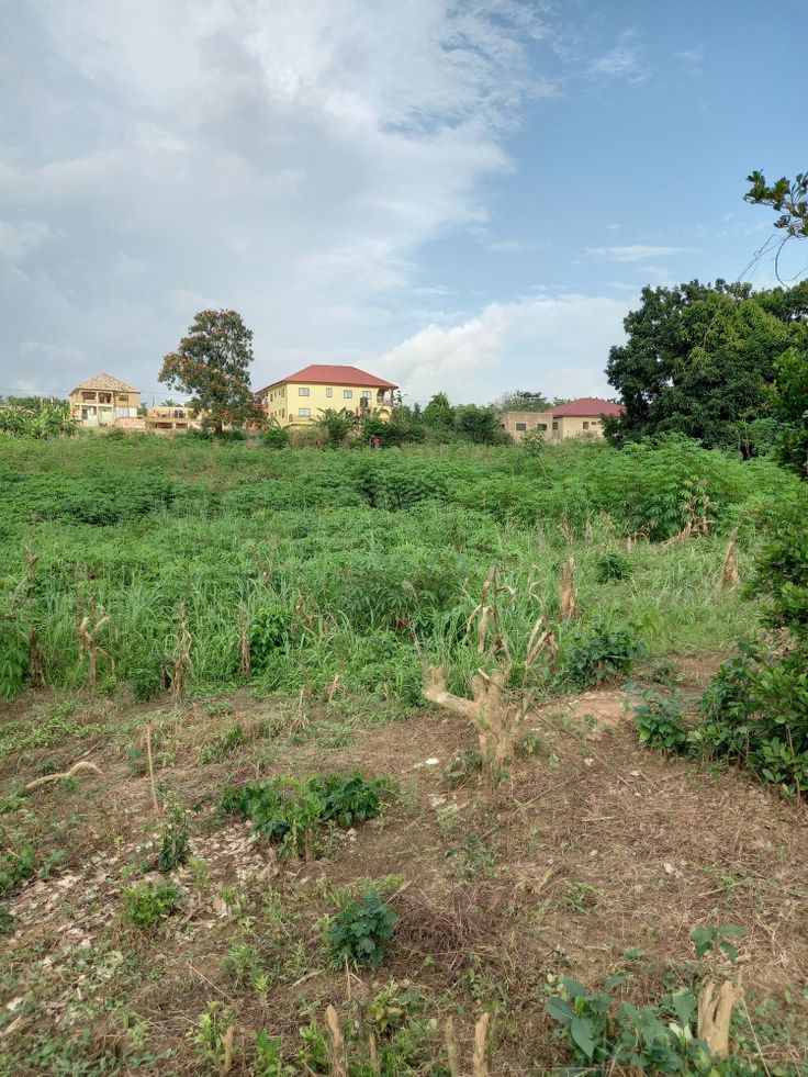 Gunjur Mesira Estate